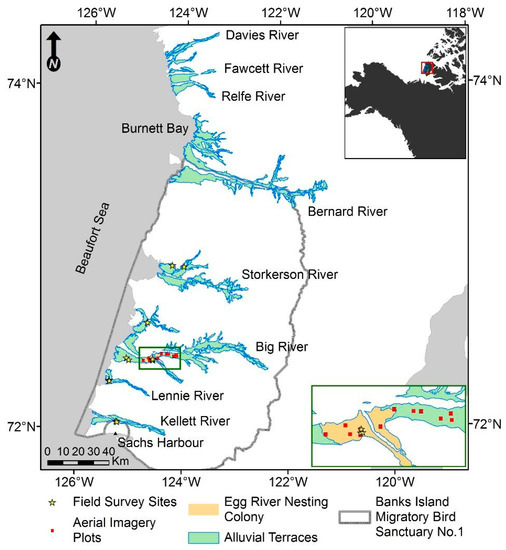 Impacts of Climate Change and Intensive Lesser Snow Goose Chen caerulescens caerulescens Activity on Surface Water in High Arctic Pond Complexes