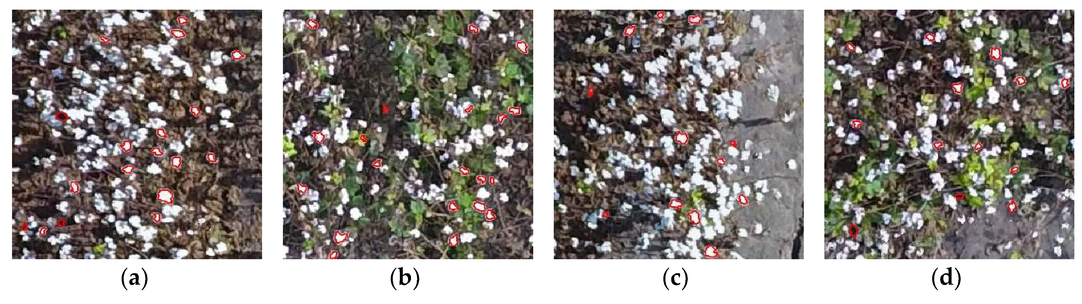 Remotesensing 10 01895 g010