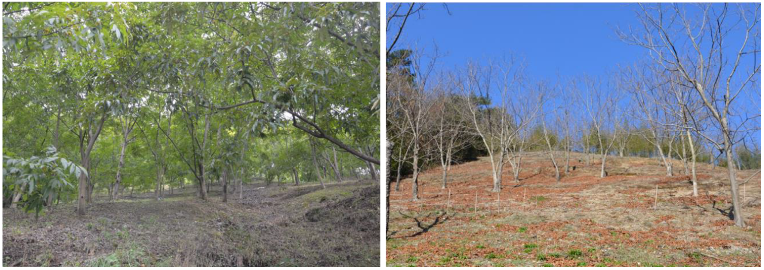 Remotesensing 10 01899 g001 Remotesensing 10 01899 g001