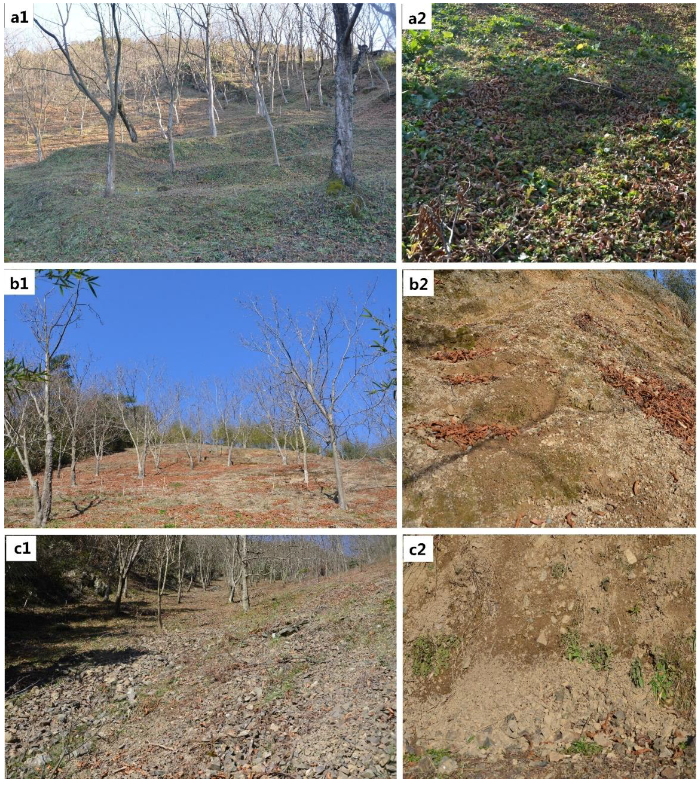 Remotesensing 10 01899 g005 Remotesensing 10 01899 g005