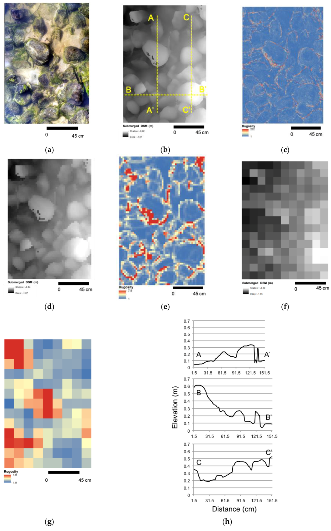 Remotesensing 10 01912 g010
