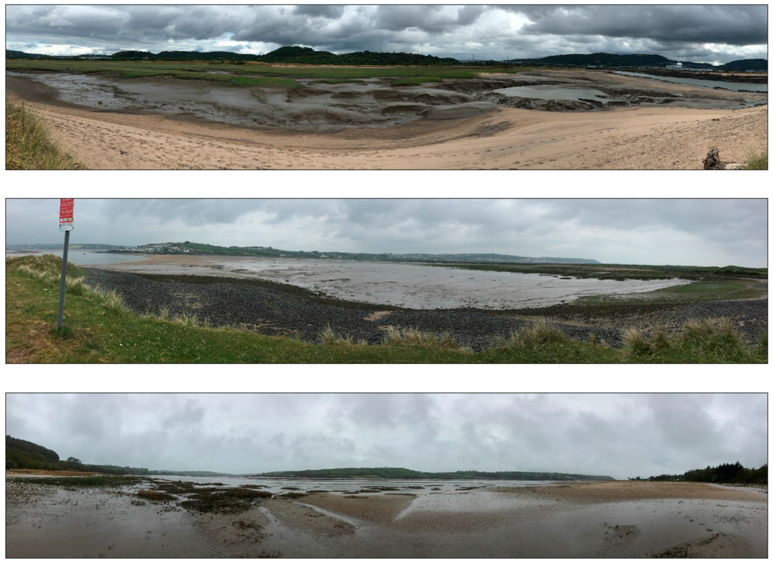 Remotesensing 10 01918 g003