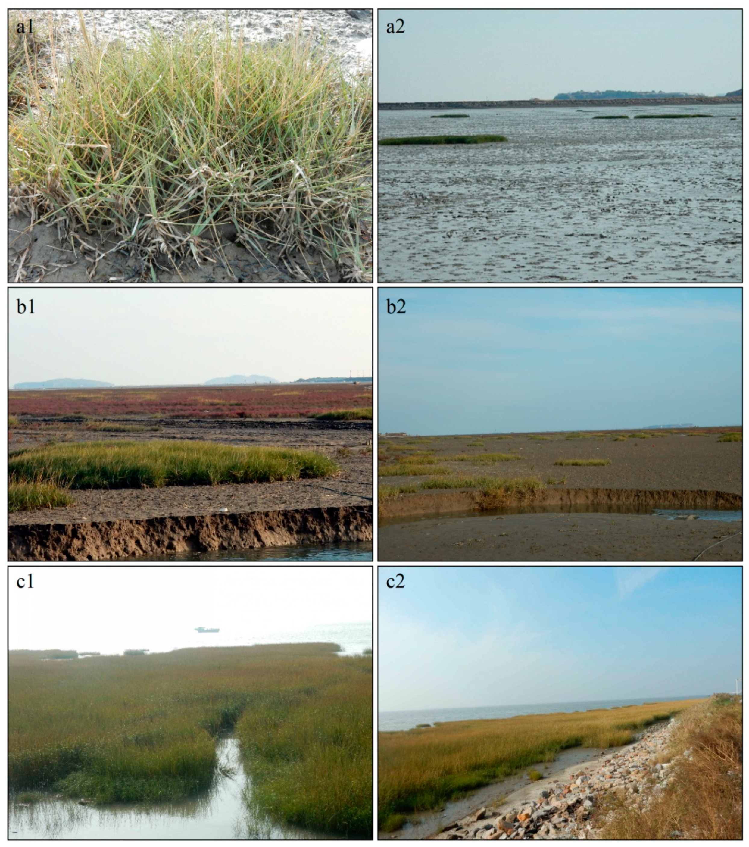 Remotesensing 10 01933 g008 Remotesensing 10 01933 g008