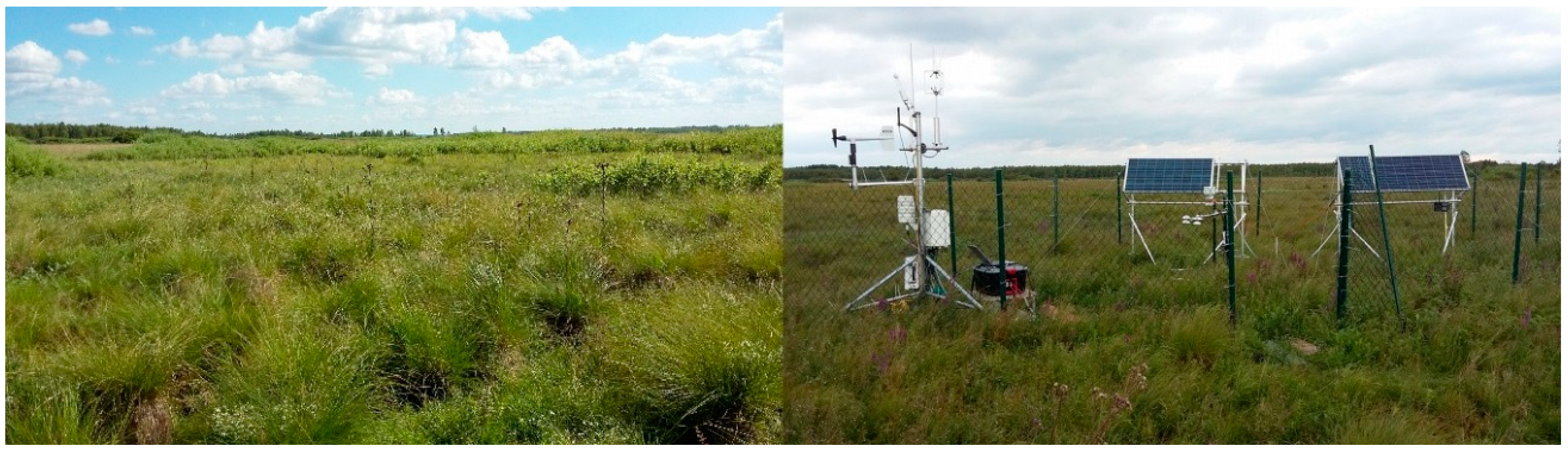 Remotesensing 10 01979 g003