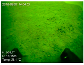 Remotesensing 10 01983 i002