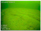 Remotesensing 10 01983 i004