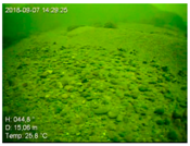 Remotesensing 10 01983 i006