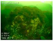 Remotesensing 10 01983 i010