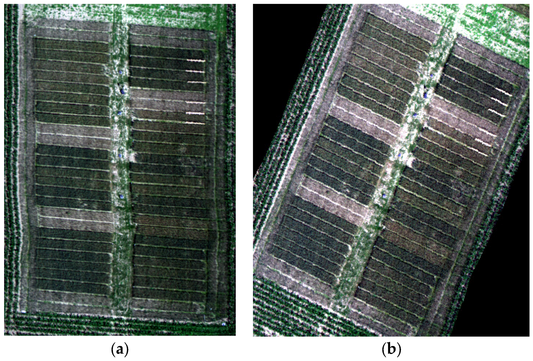 Remotesensing 10 02000 g004 Remotesensing 10 02000 g004