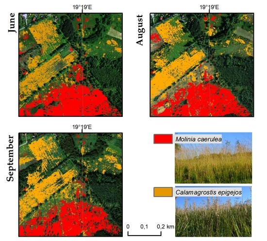 Remote Sensing December 2018 Browse Articles