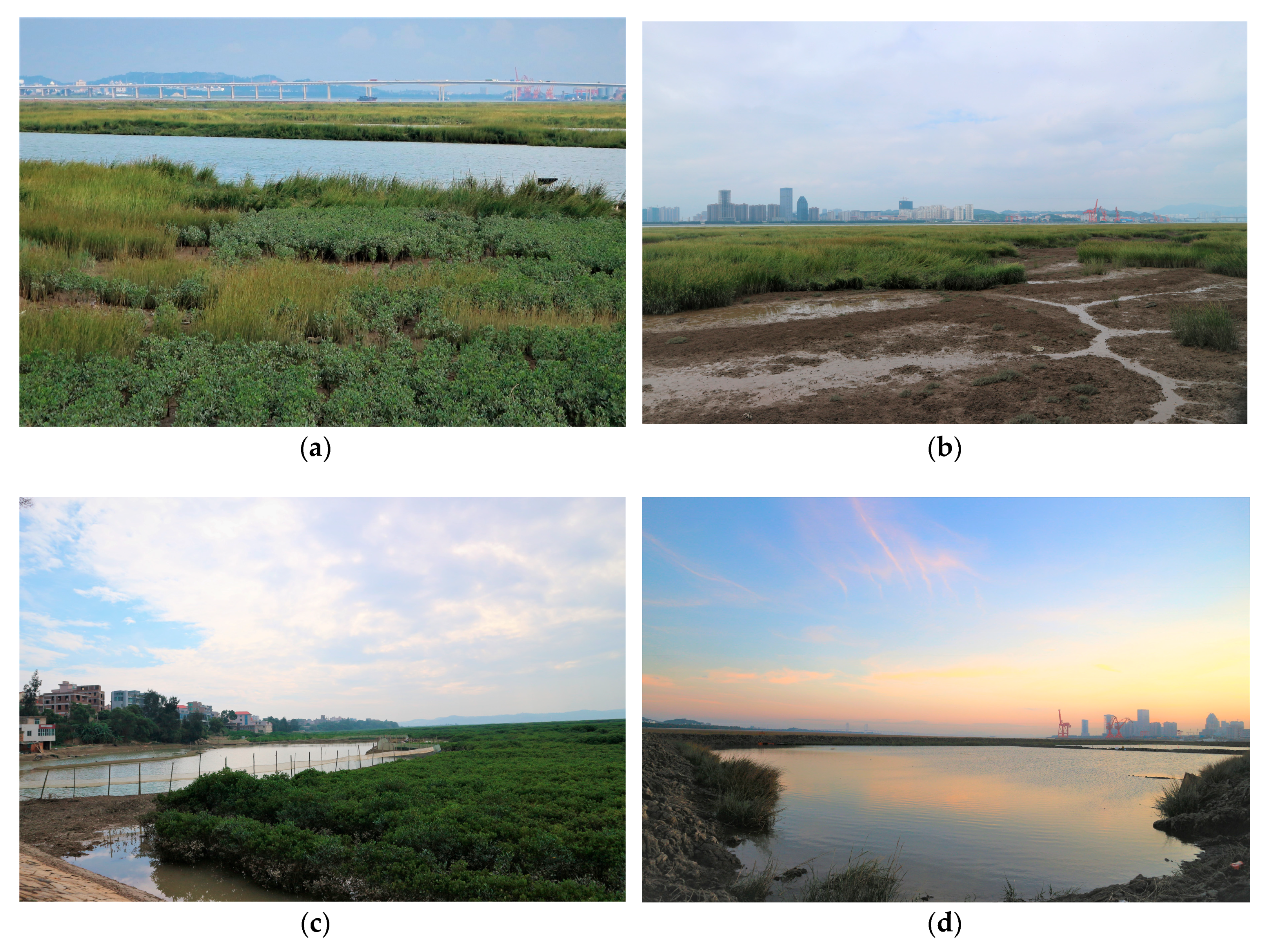 Remotesensing 10 02020 g008a