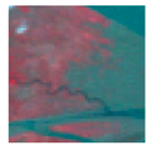 Remotesensing 10 02020 i002