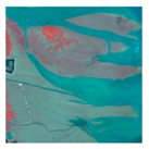 Remotesensing 10 02020 i003