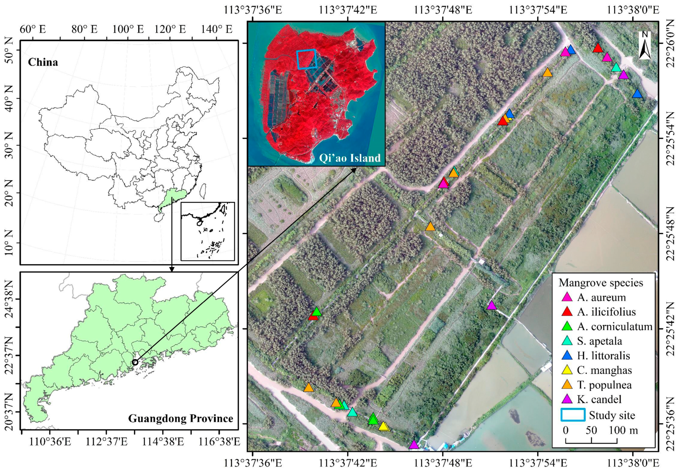 Remotesensing 10 02047 g002