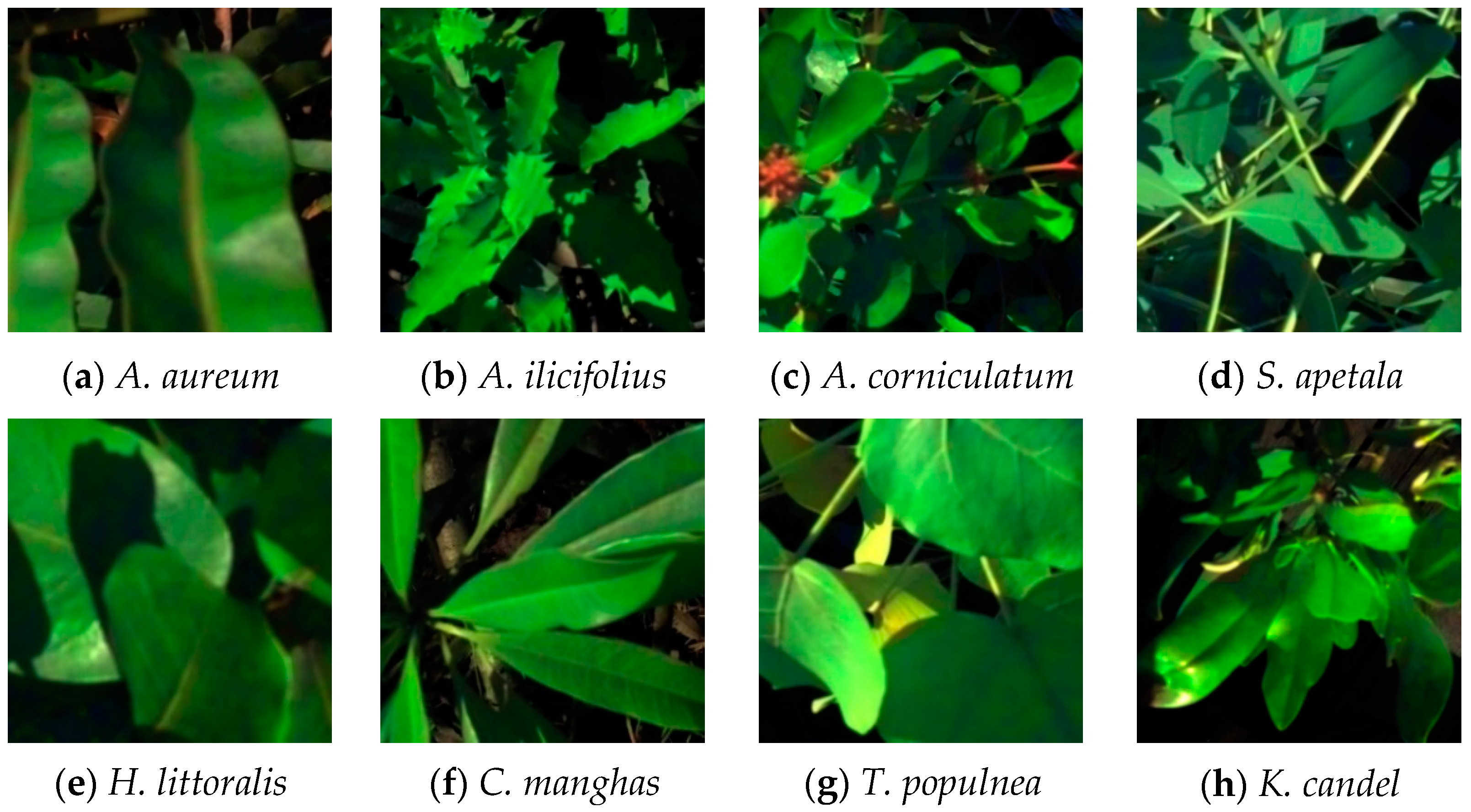 Remotesensing 10 02047 g004