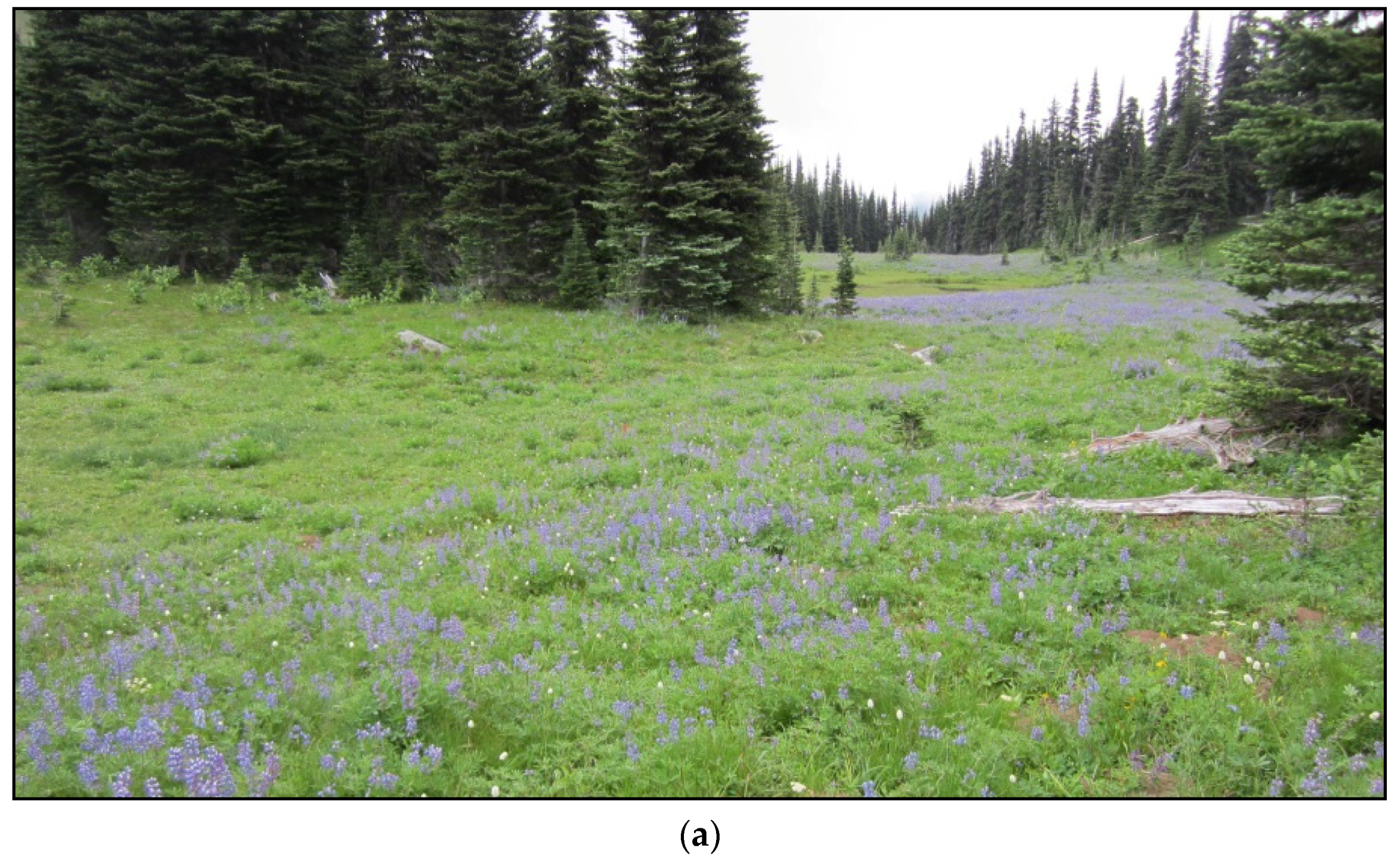 Remotesensing 11 00003 g0a1a 550