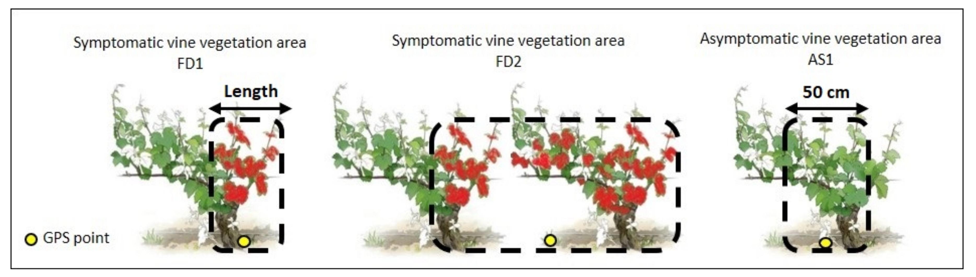Remotesensing 11 00023 g002 Remotesensing 11 00023 g002
