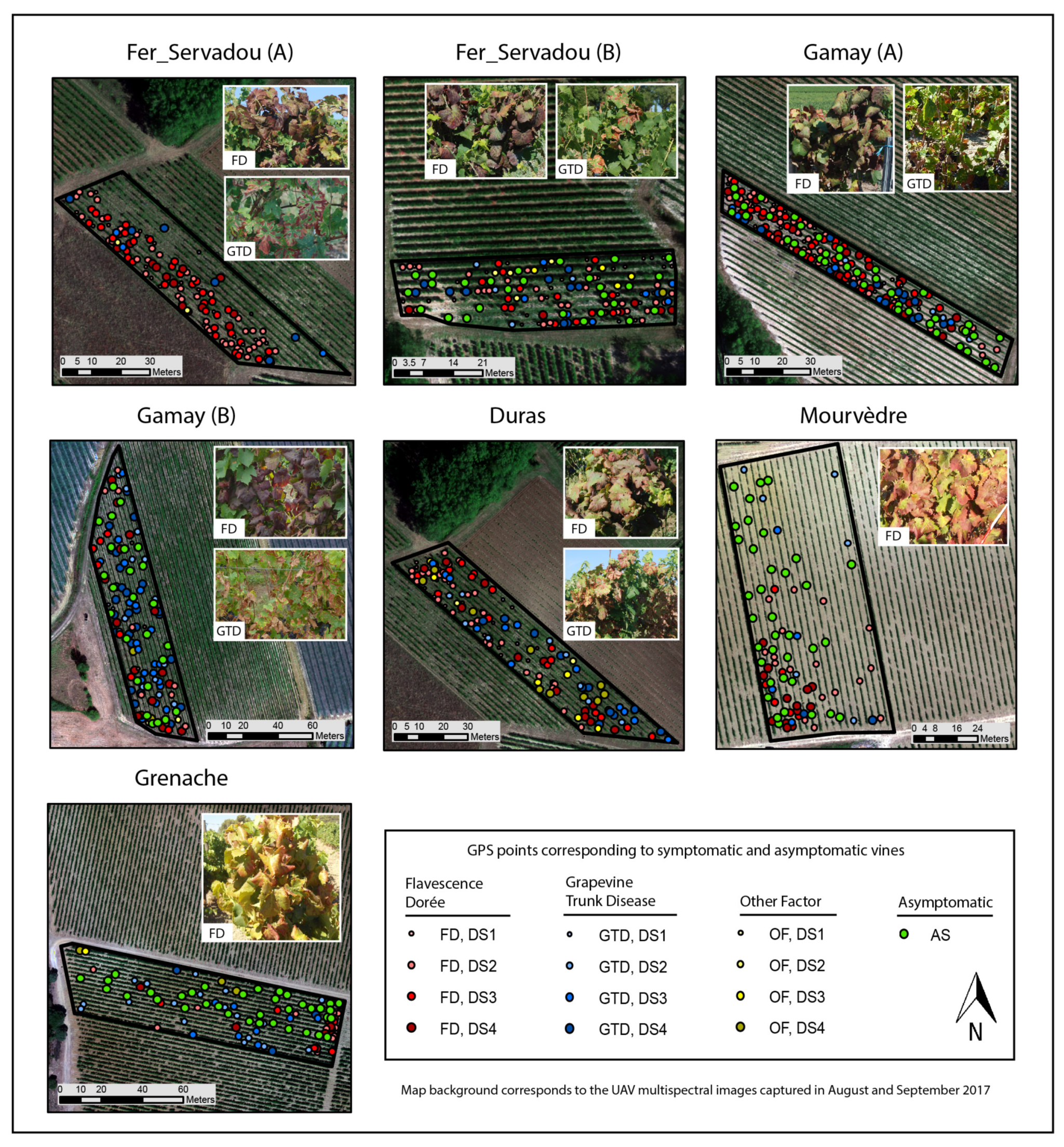 Remotesensing 11 00023 g004 Remotesensing 11 00023 g004