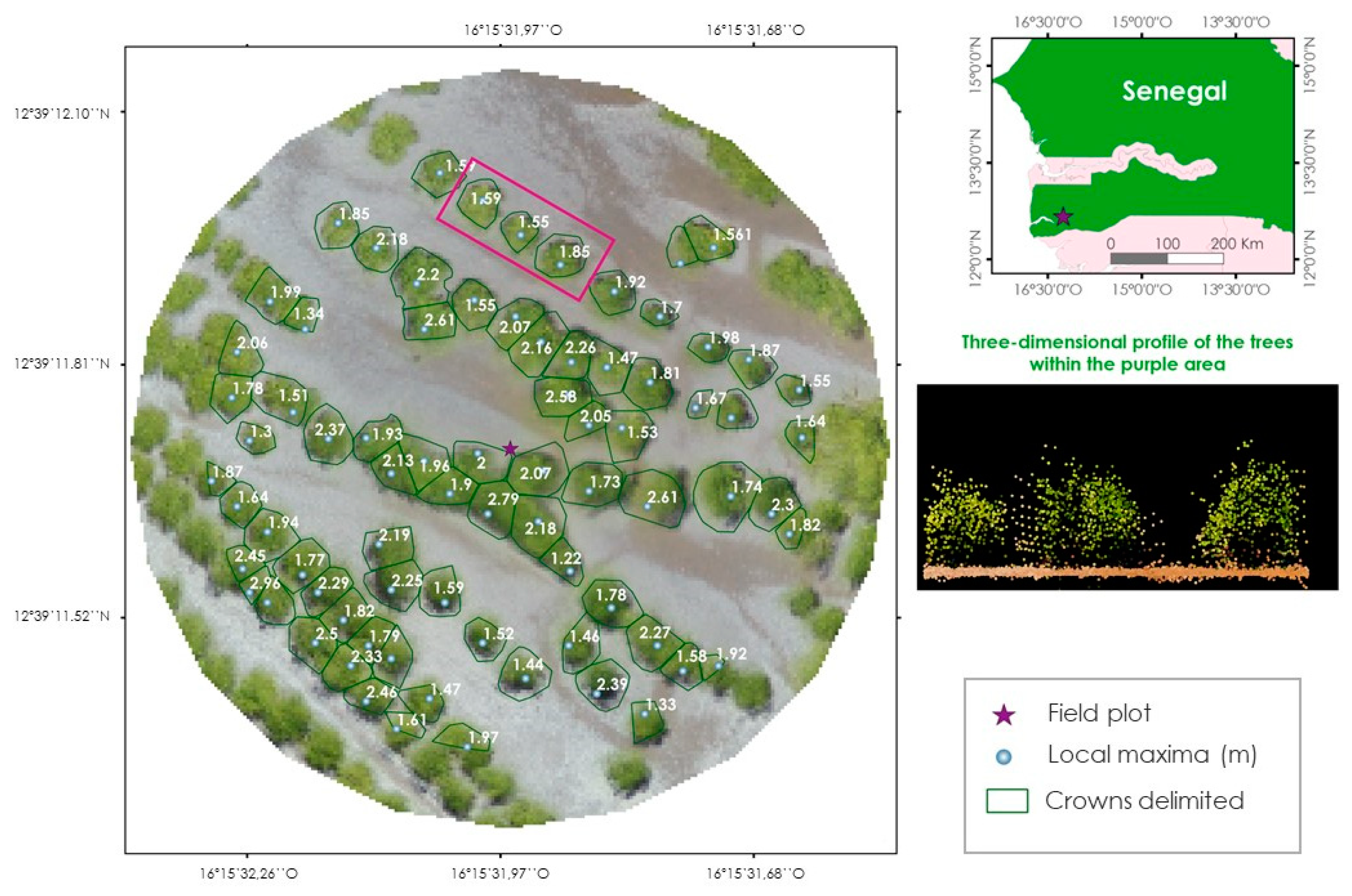 Remotesensing 11 00077 g003