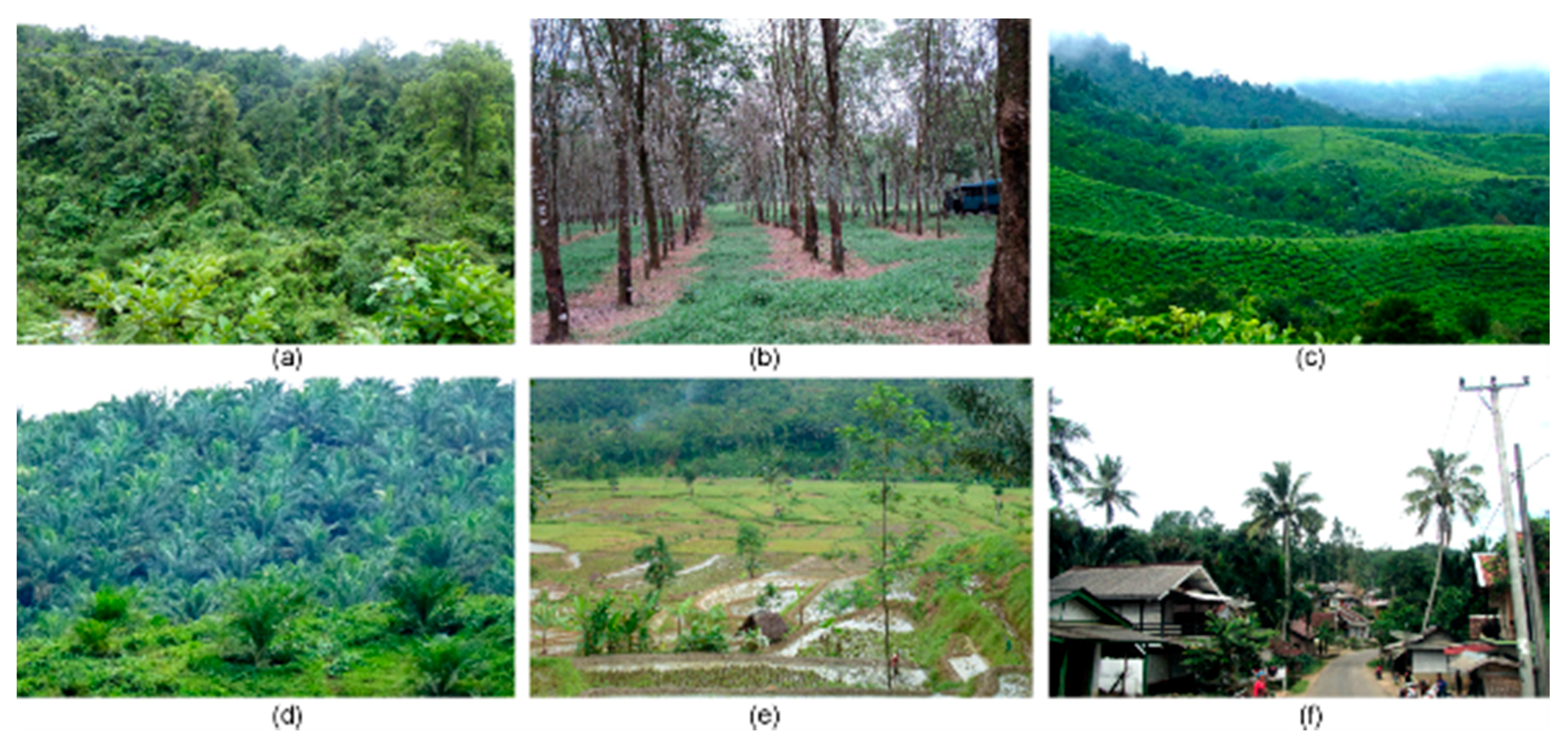 Remotesensing 11 00100 g003 Remotesensing 11 00100 g003