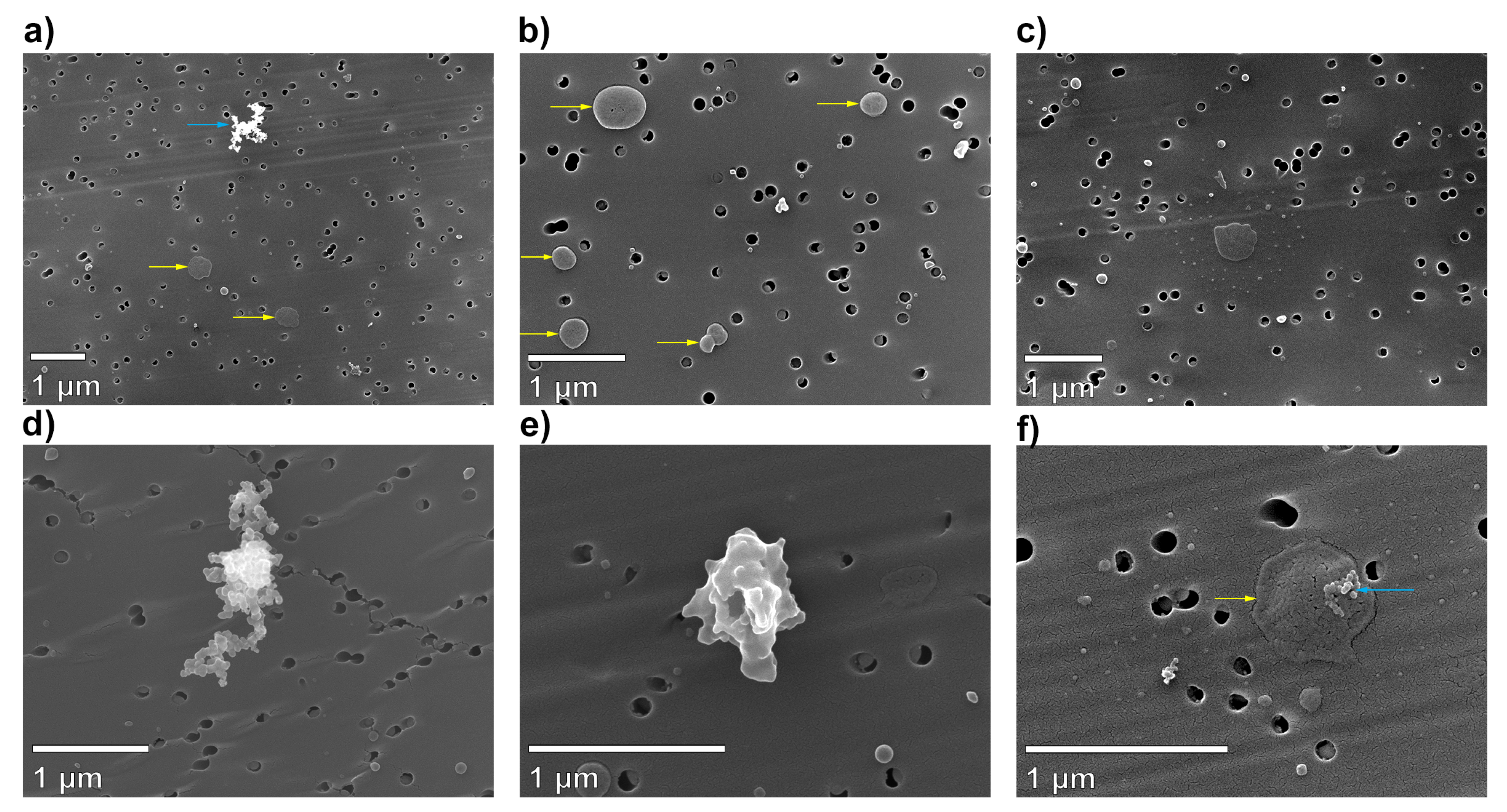 Remotesensing 11 00106 g013