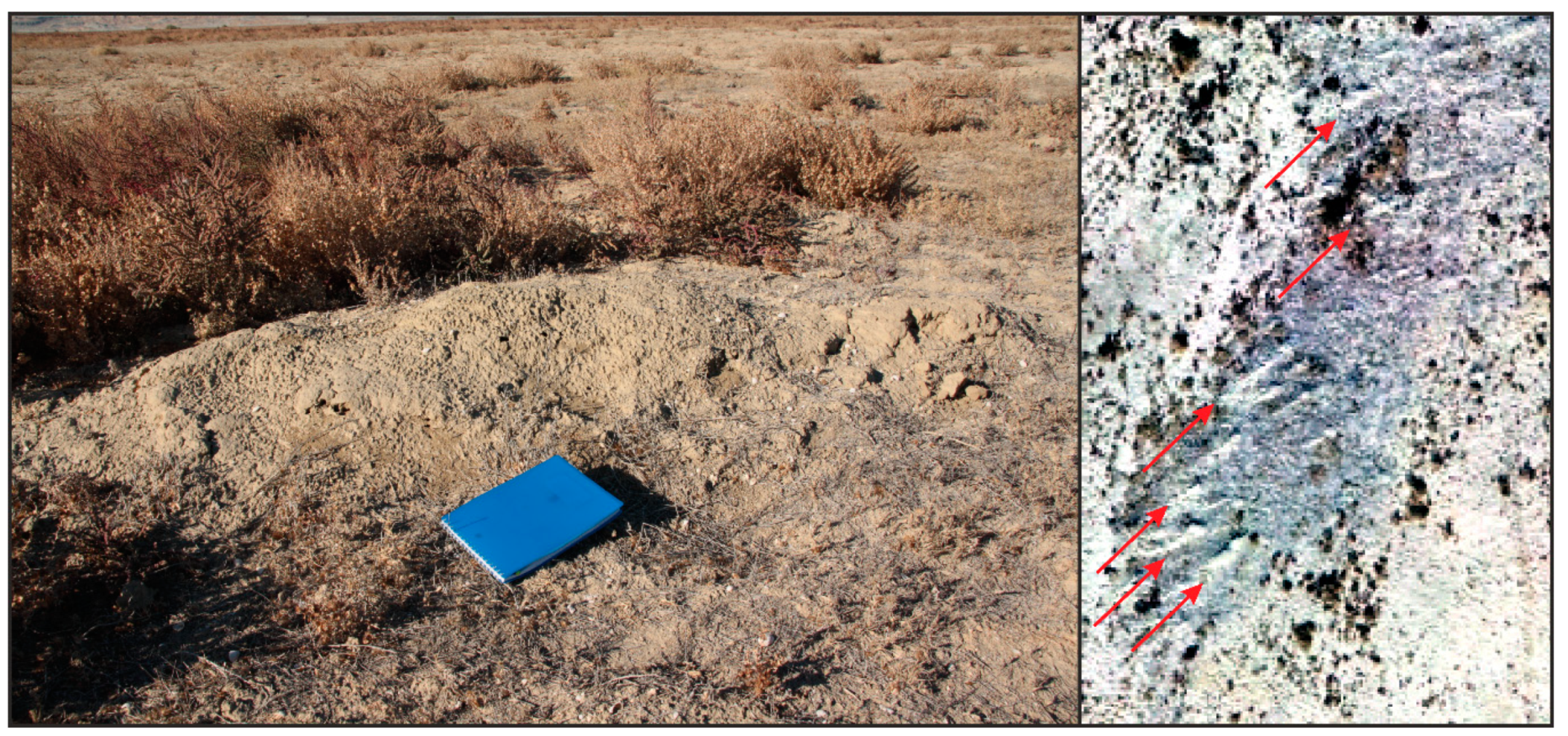 Remotesensing 11 00113 g011 Remotesensing 11 00113 g011