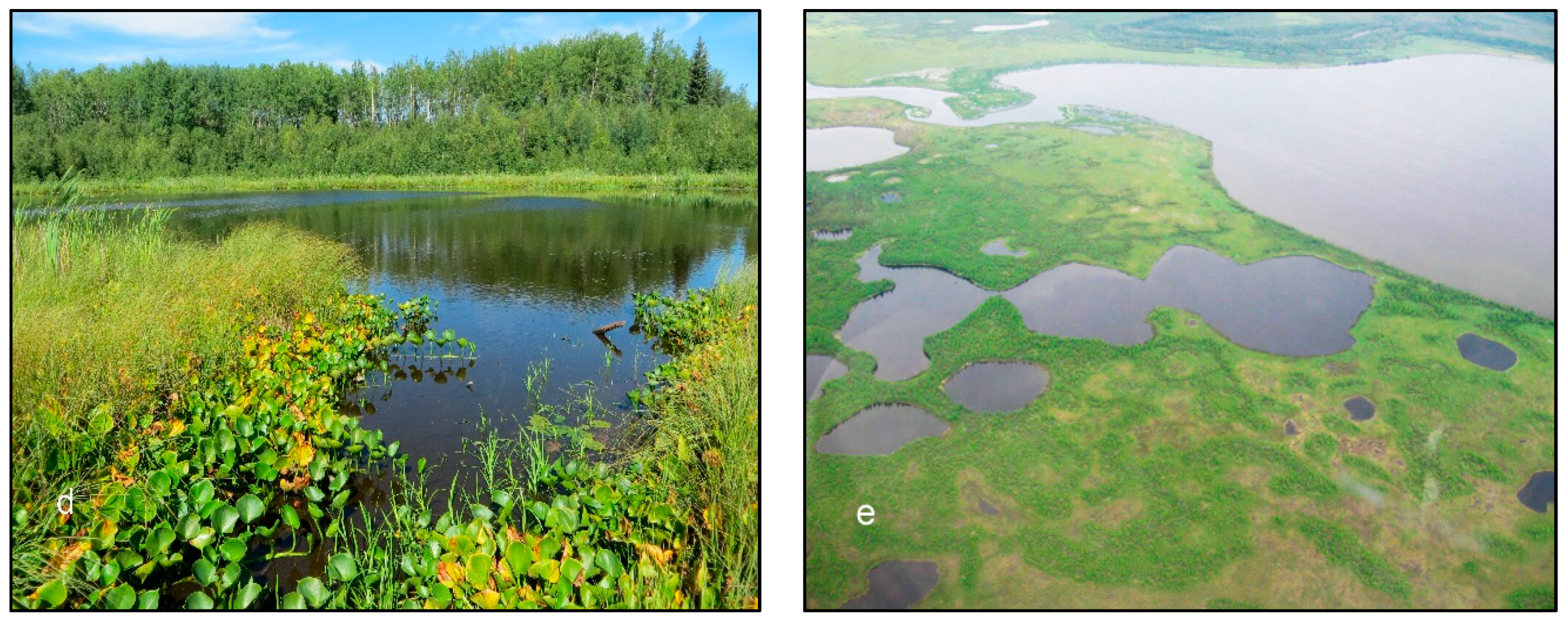 Remotesensing 11 00161 g001b 550