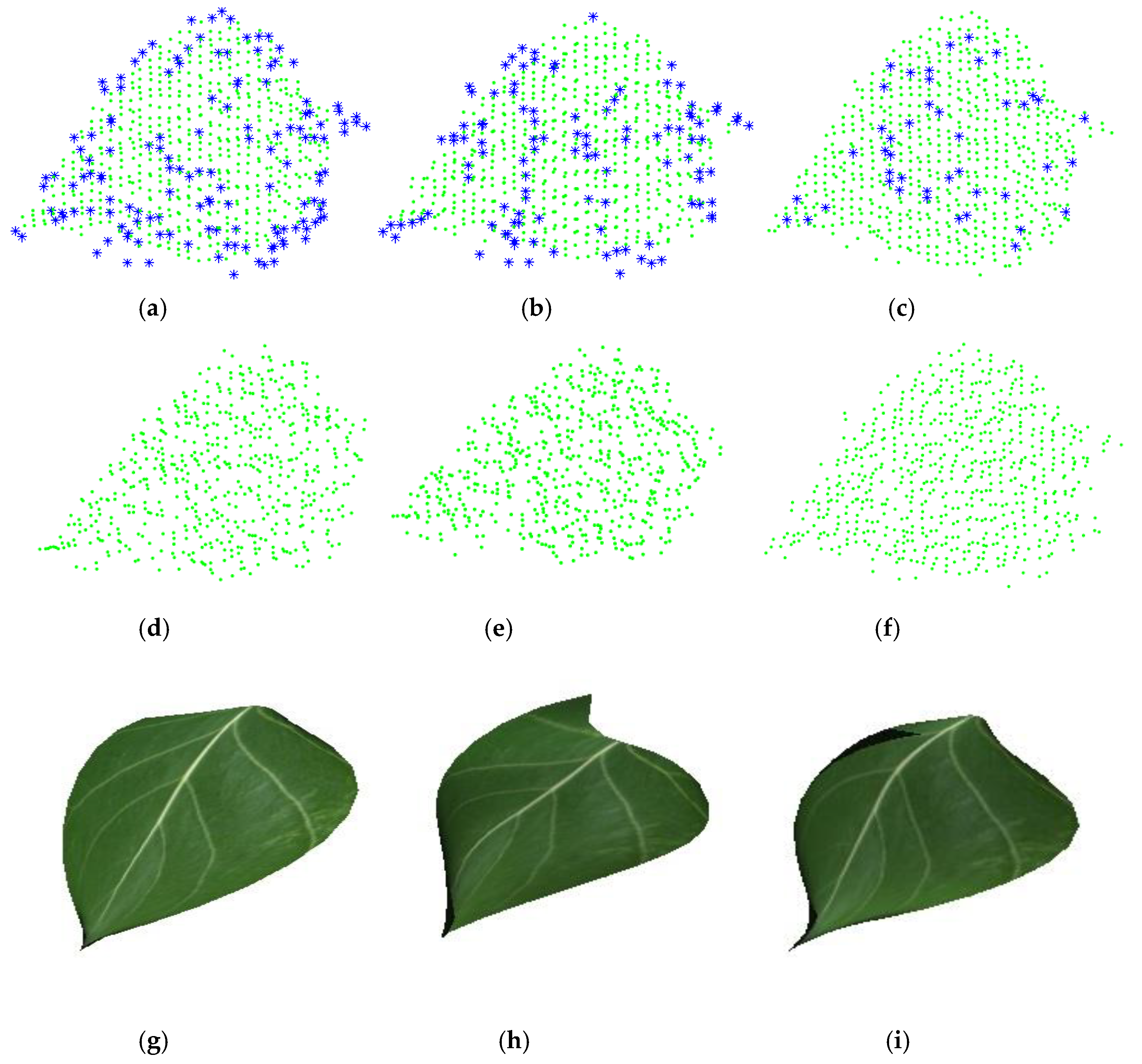 Remotesensing 11 00198 g004 Remotesensing 11 00198 g004