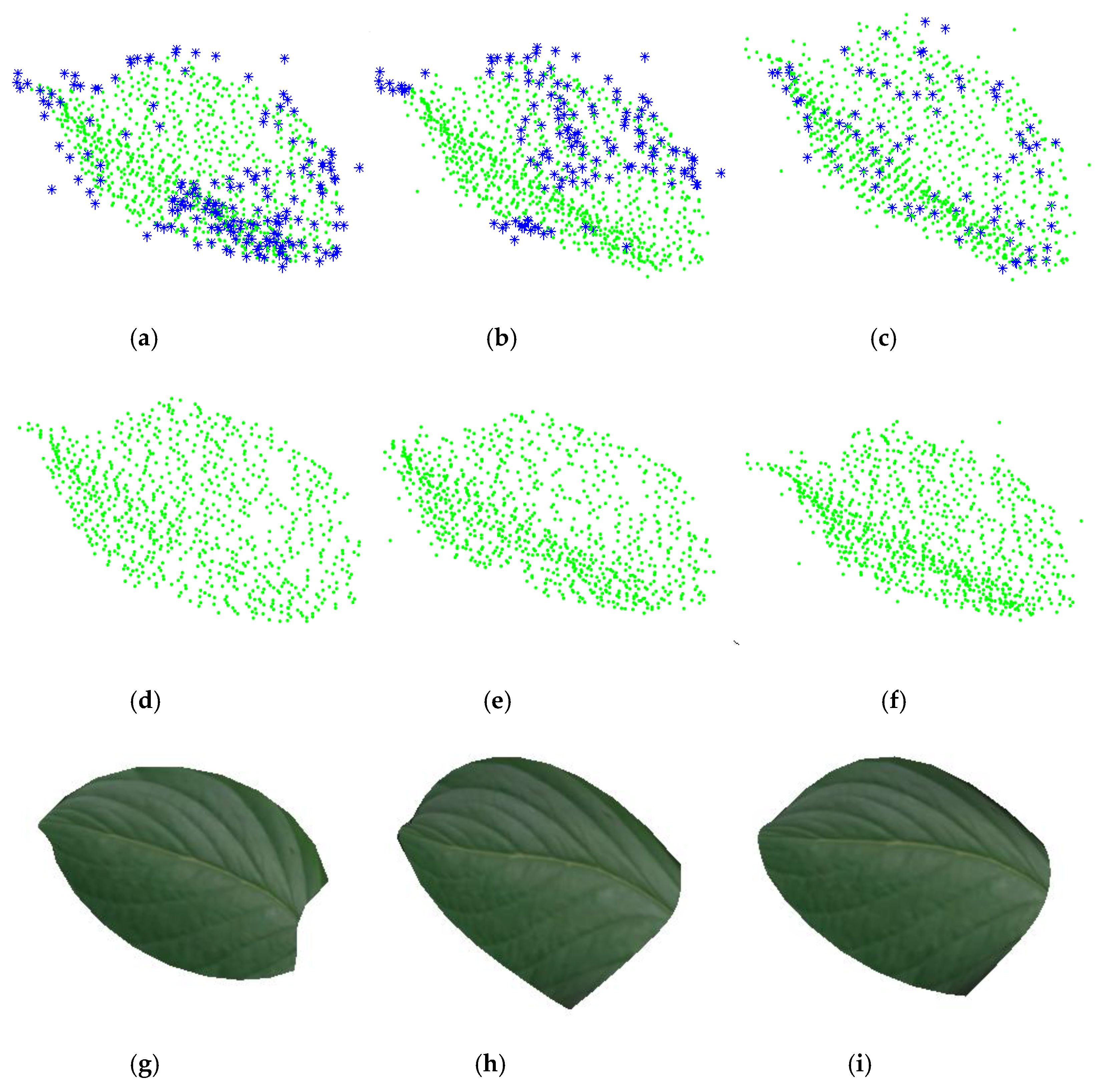 Remotesensing 11 00198 g005 Remotesensing 11 00198 g005