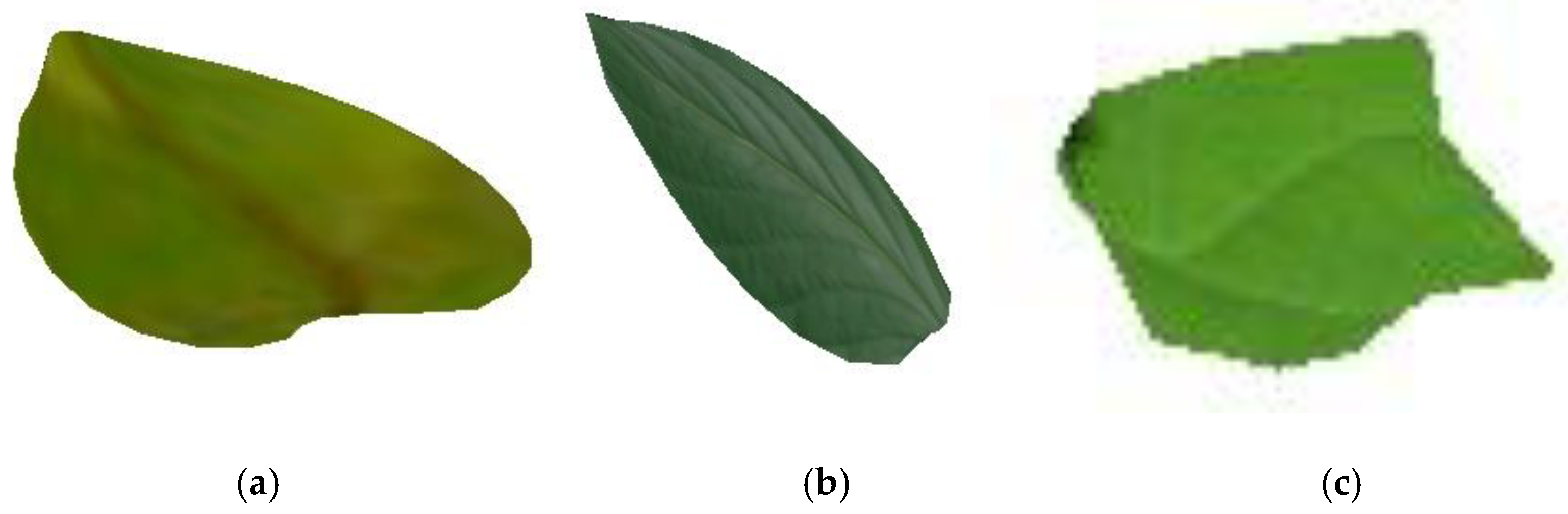 Remotesensing 11 00198 g007 Remotesensing 11 00198 g007