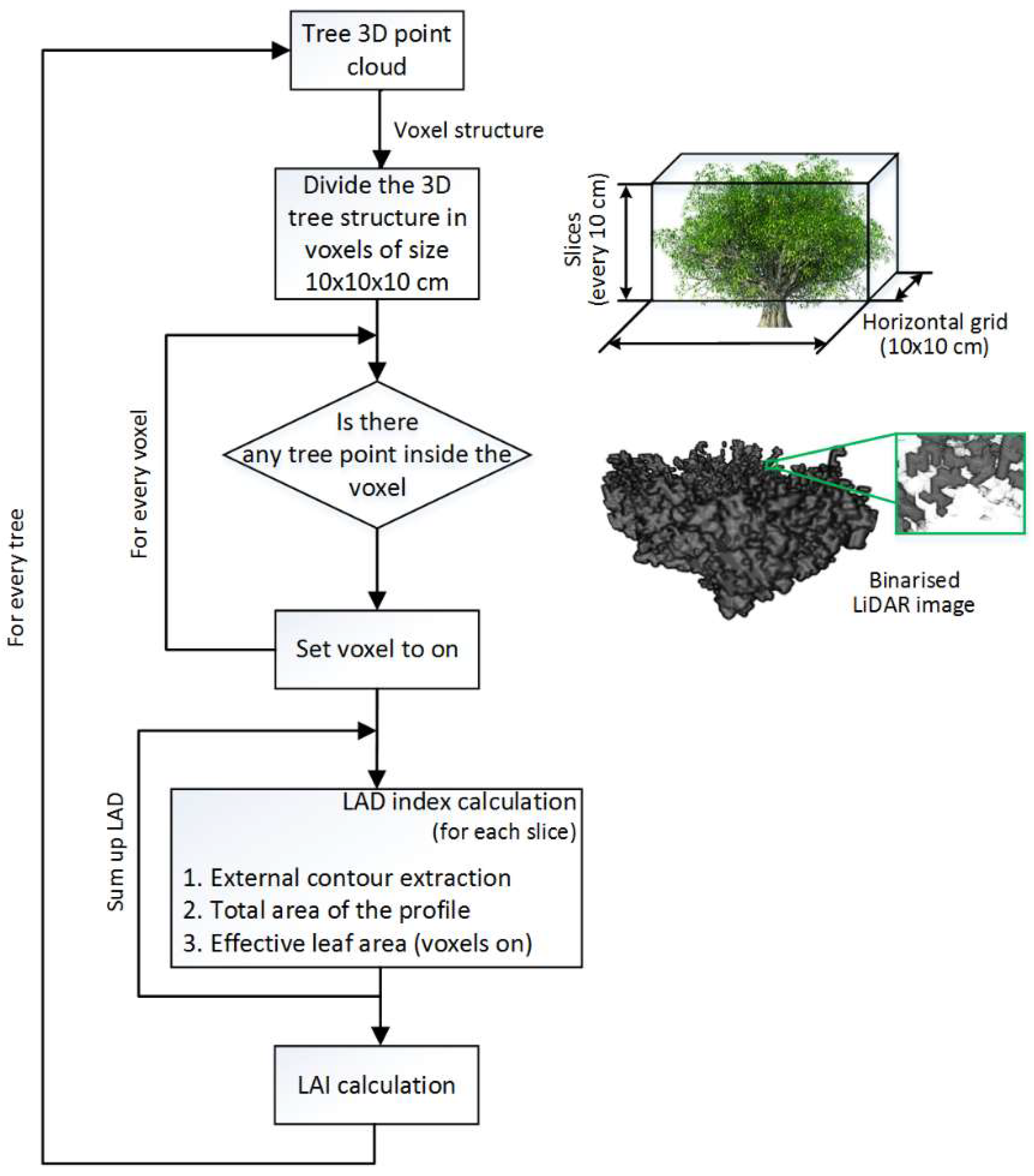 Remotesensing 11 00221 g005
