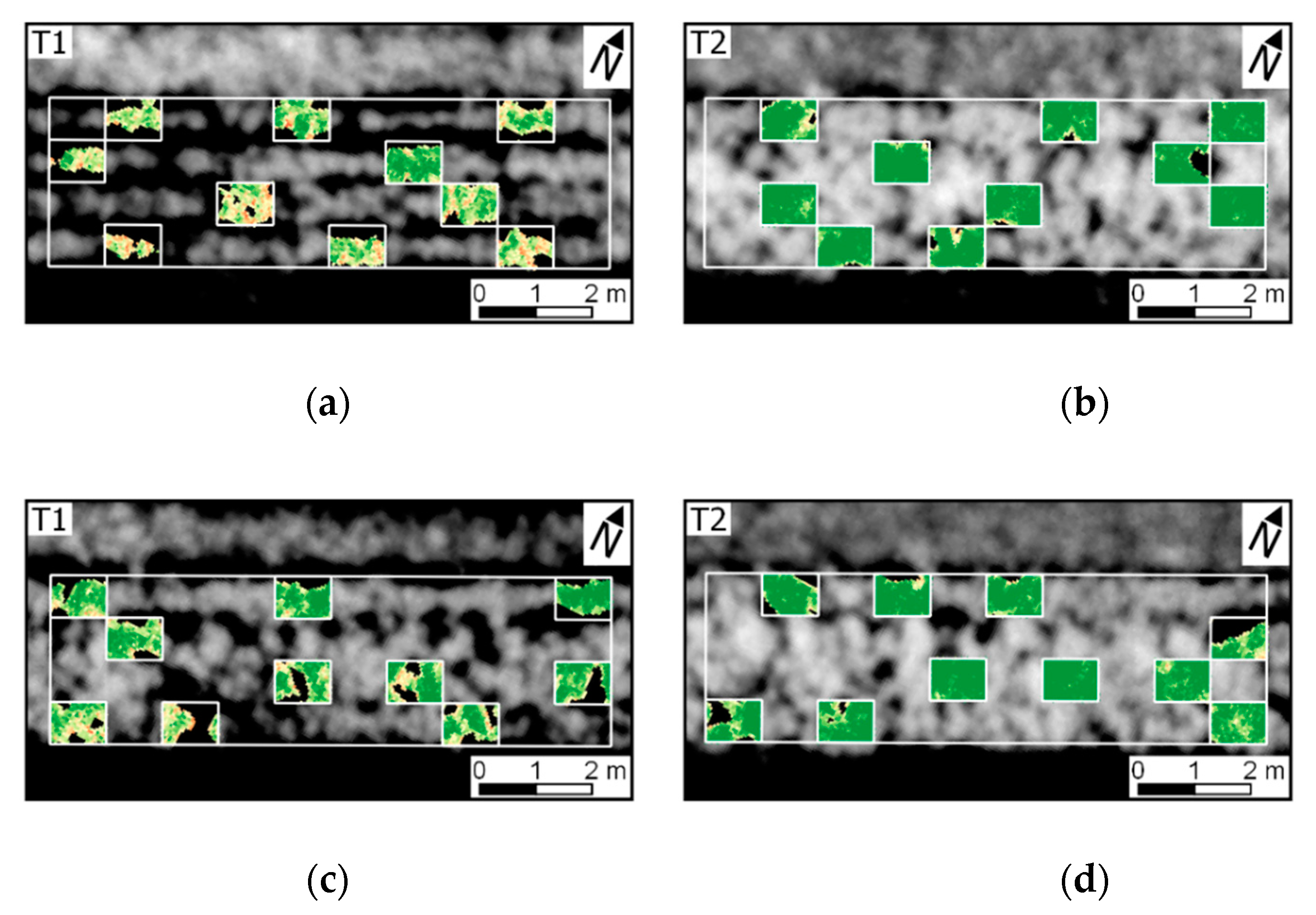 Remotesensing 11 00224 g010a