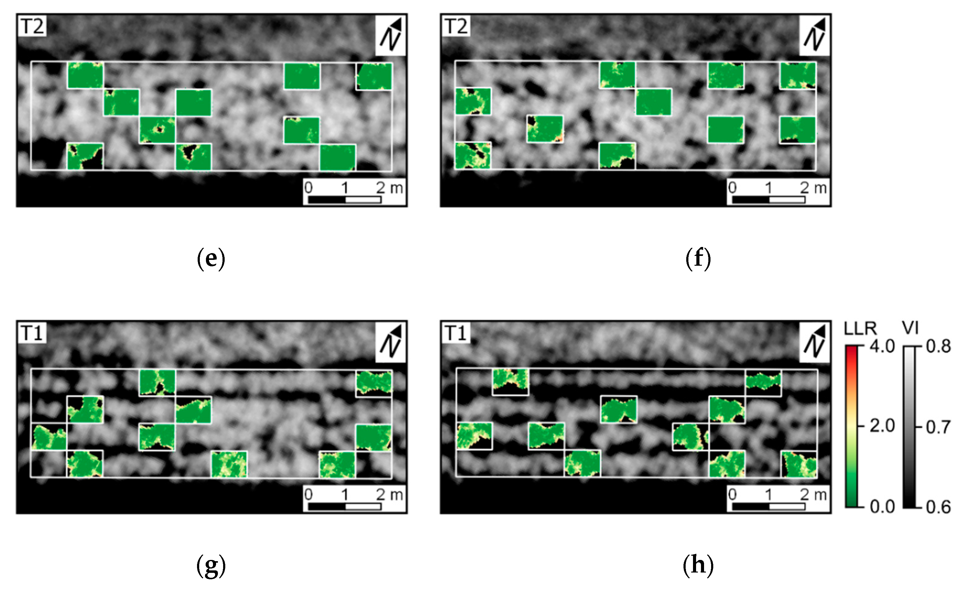 Remotesensing 11 00224 g010b