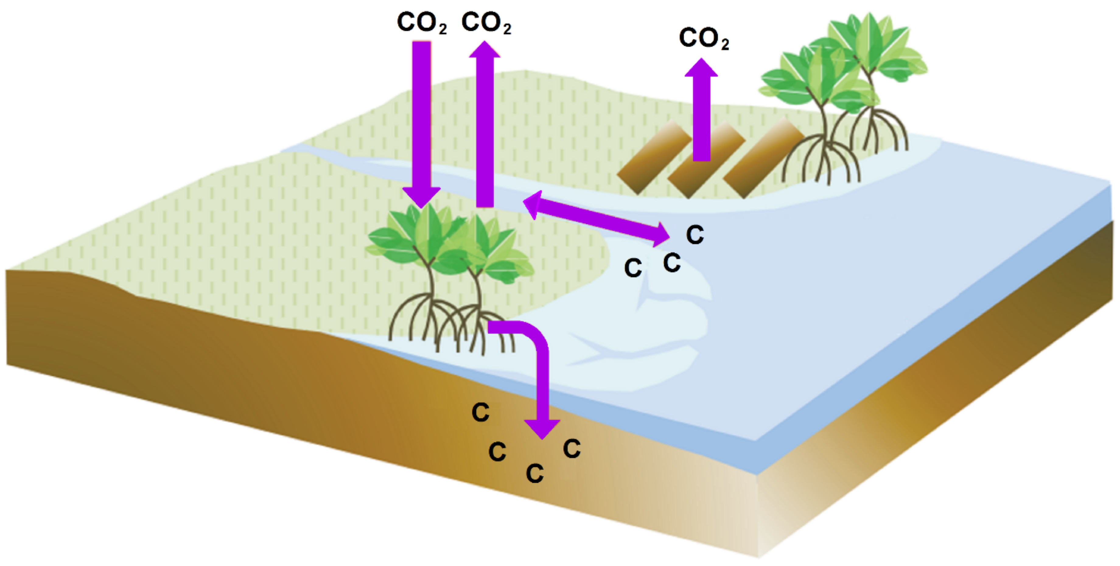 Remotesensing 11 00230 g001