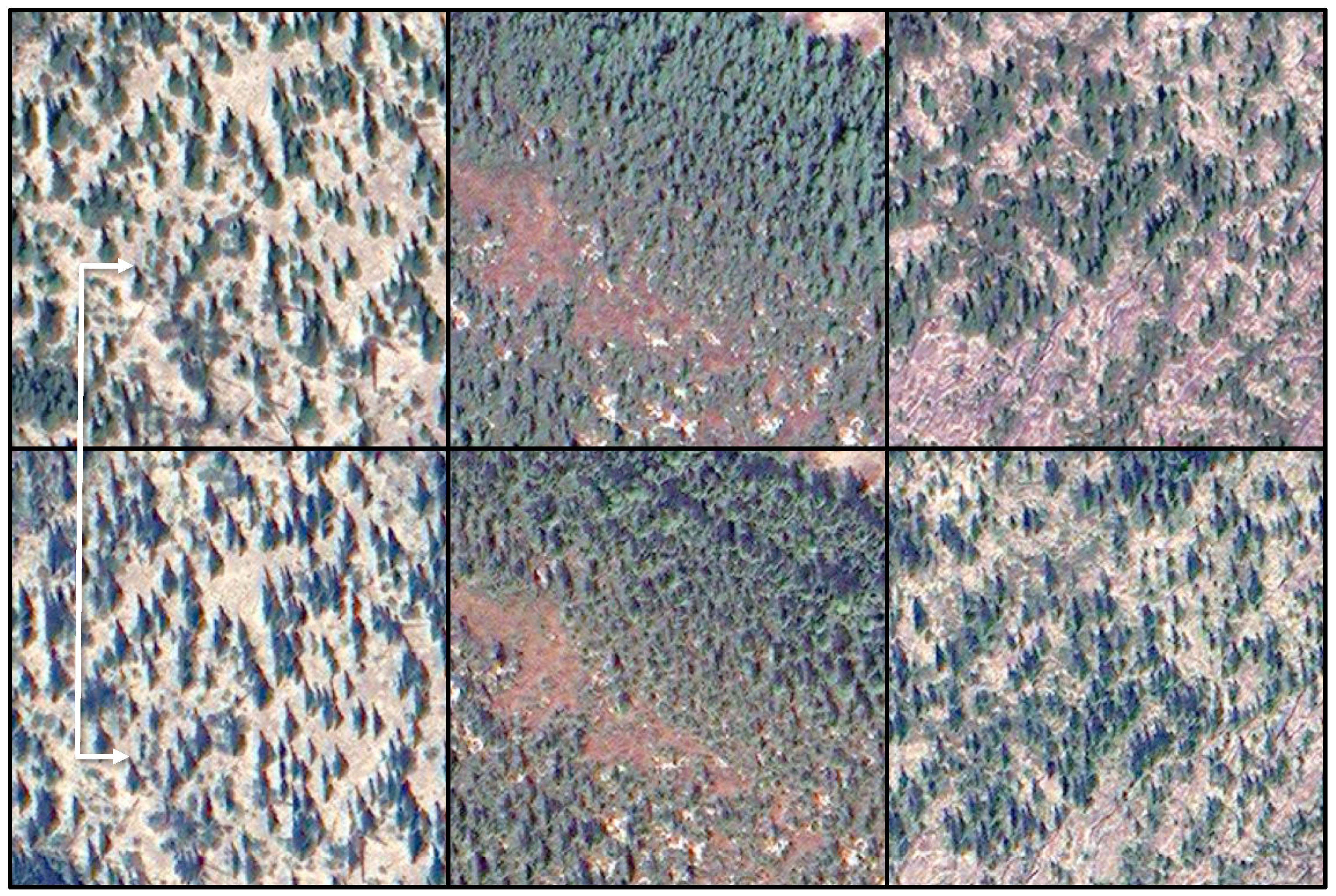 Remotesensing 11 00248 g005