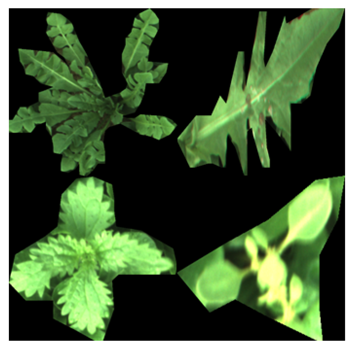 Remotesensing 11 00249 g003