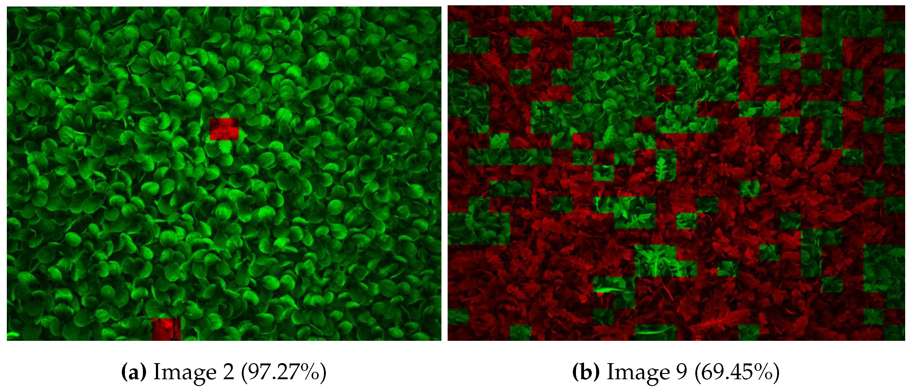 Remotesensing 11 00249 g011