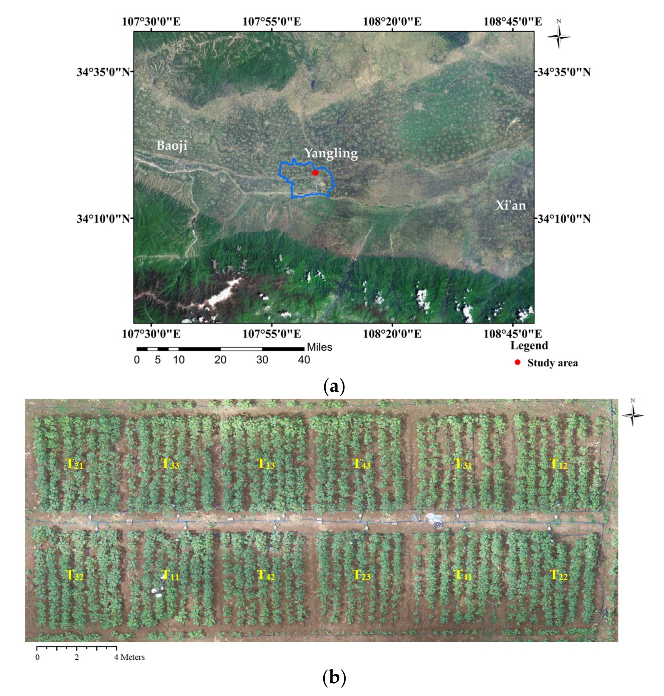 Remotesensing 11 00267 g001 Remotesensing 11 00267 g001