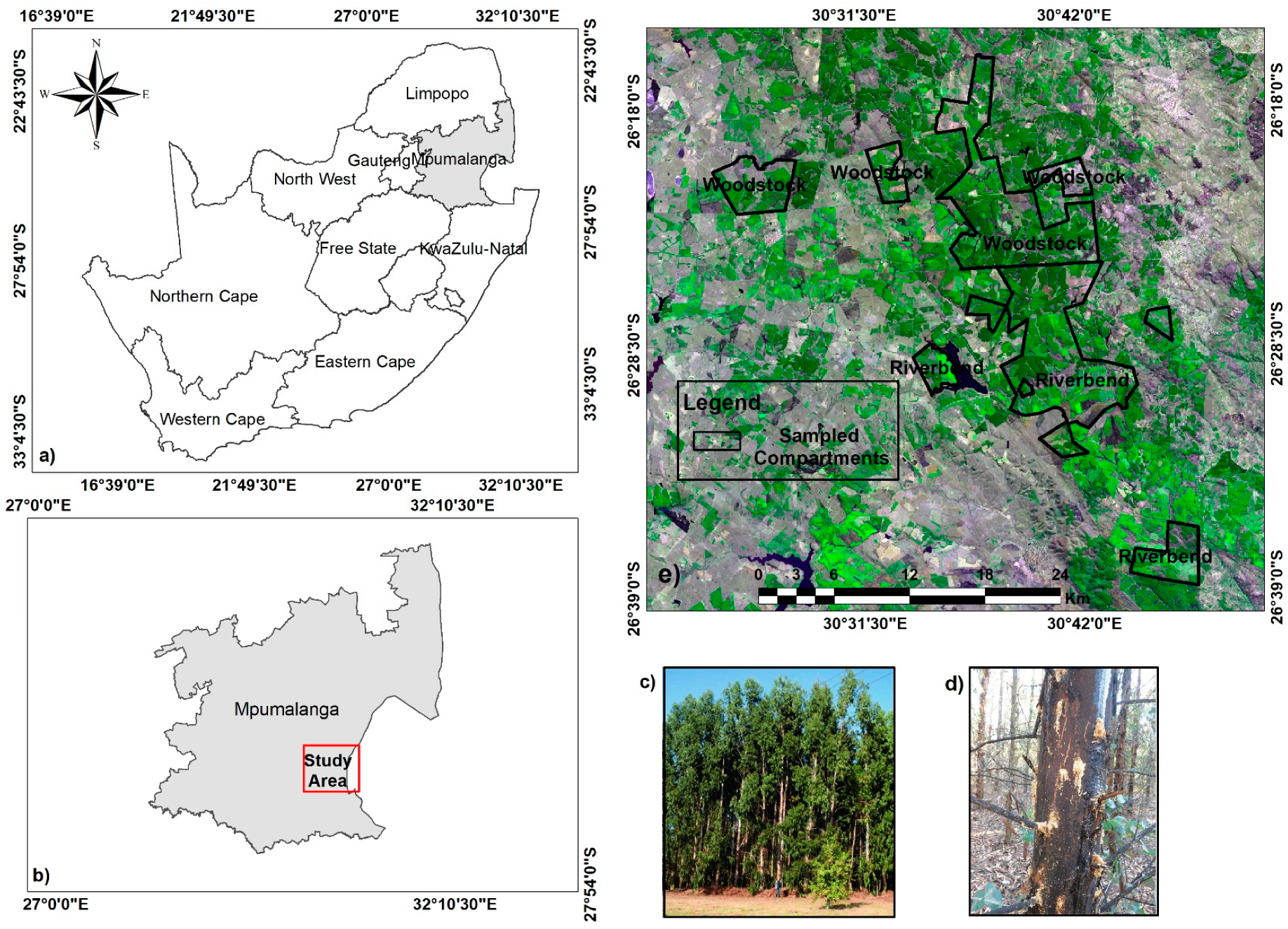 Remotesensing 11 00278 g001