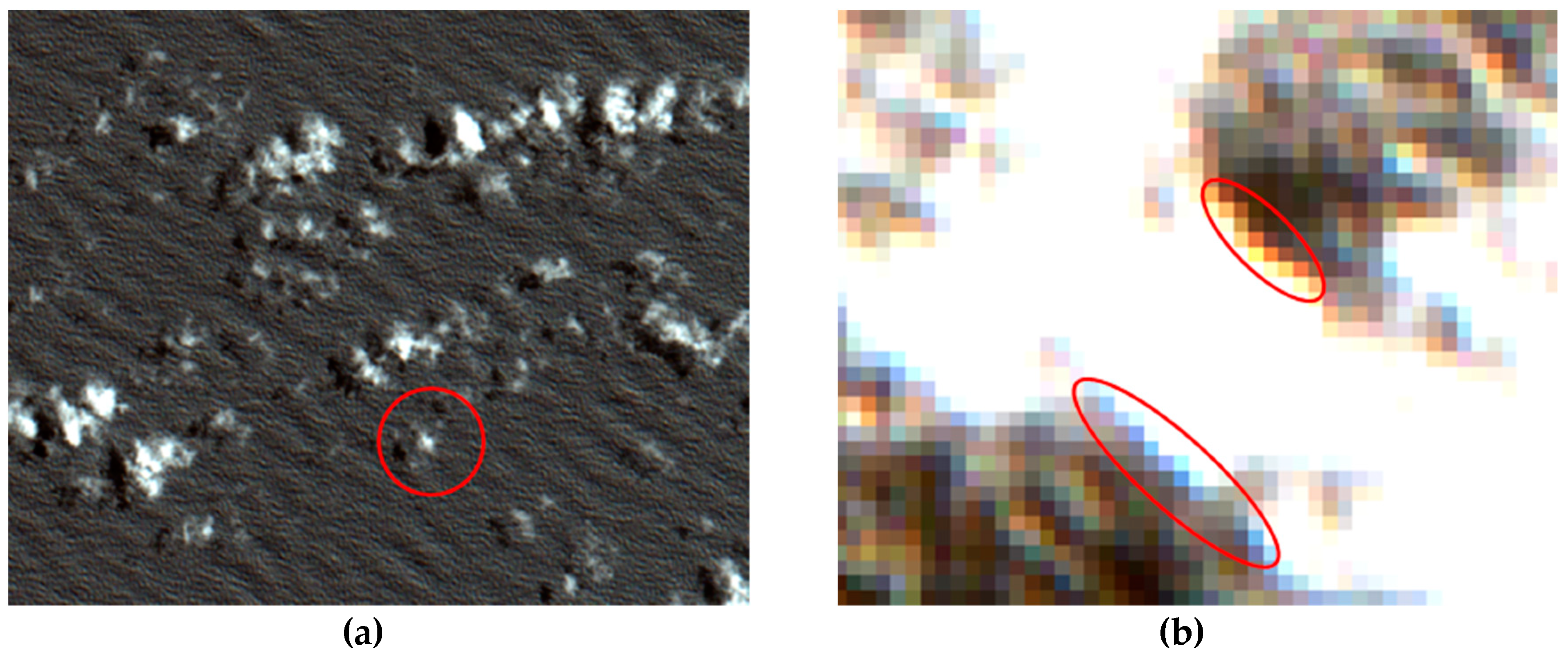 Remotesensing 11 00293 g009 550