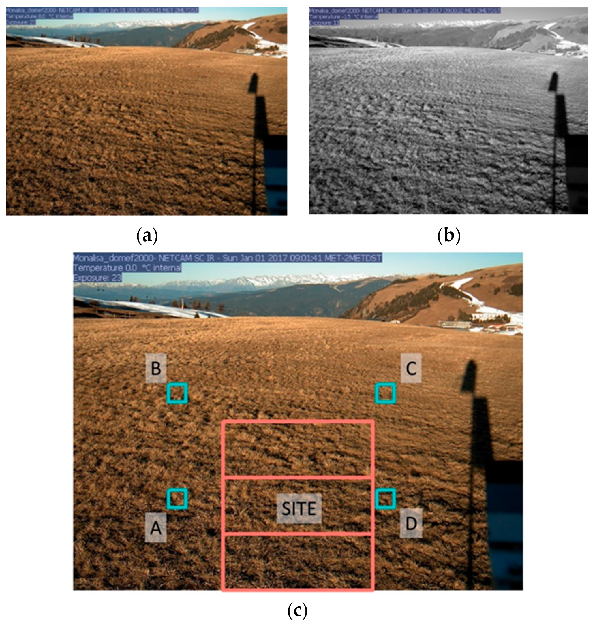 Remotesensing 11 00296 g004 550