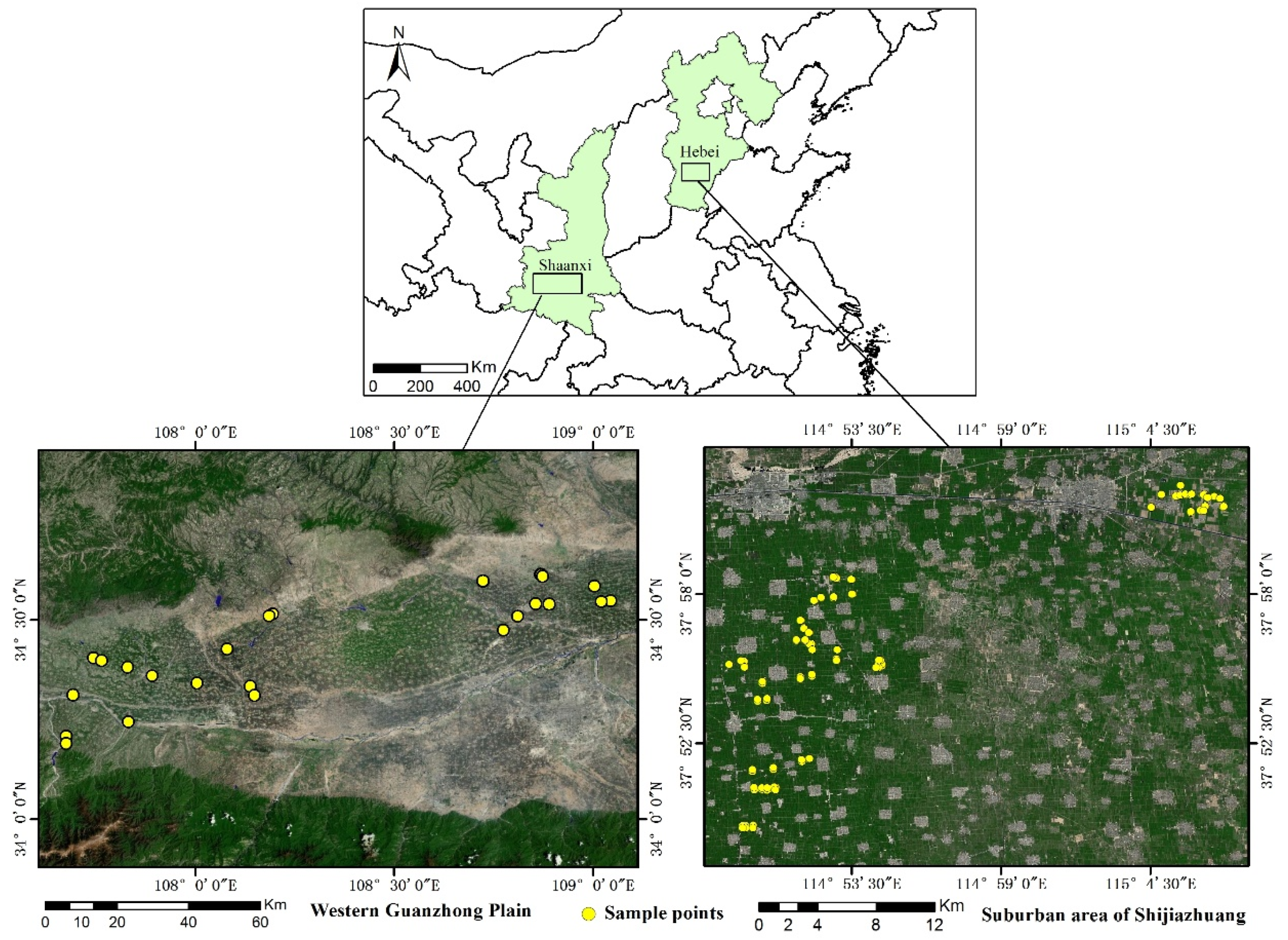 Remotesensing 11 00298 g001