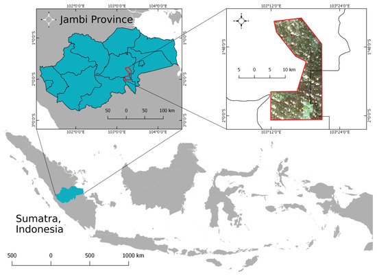 Remote Sensing | Free Full-Text | Large Scale Palm Tree Detection