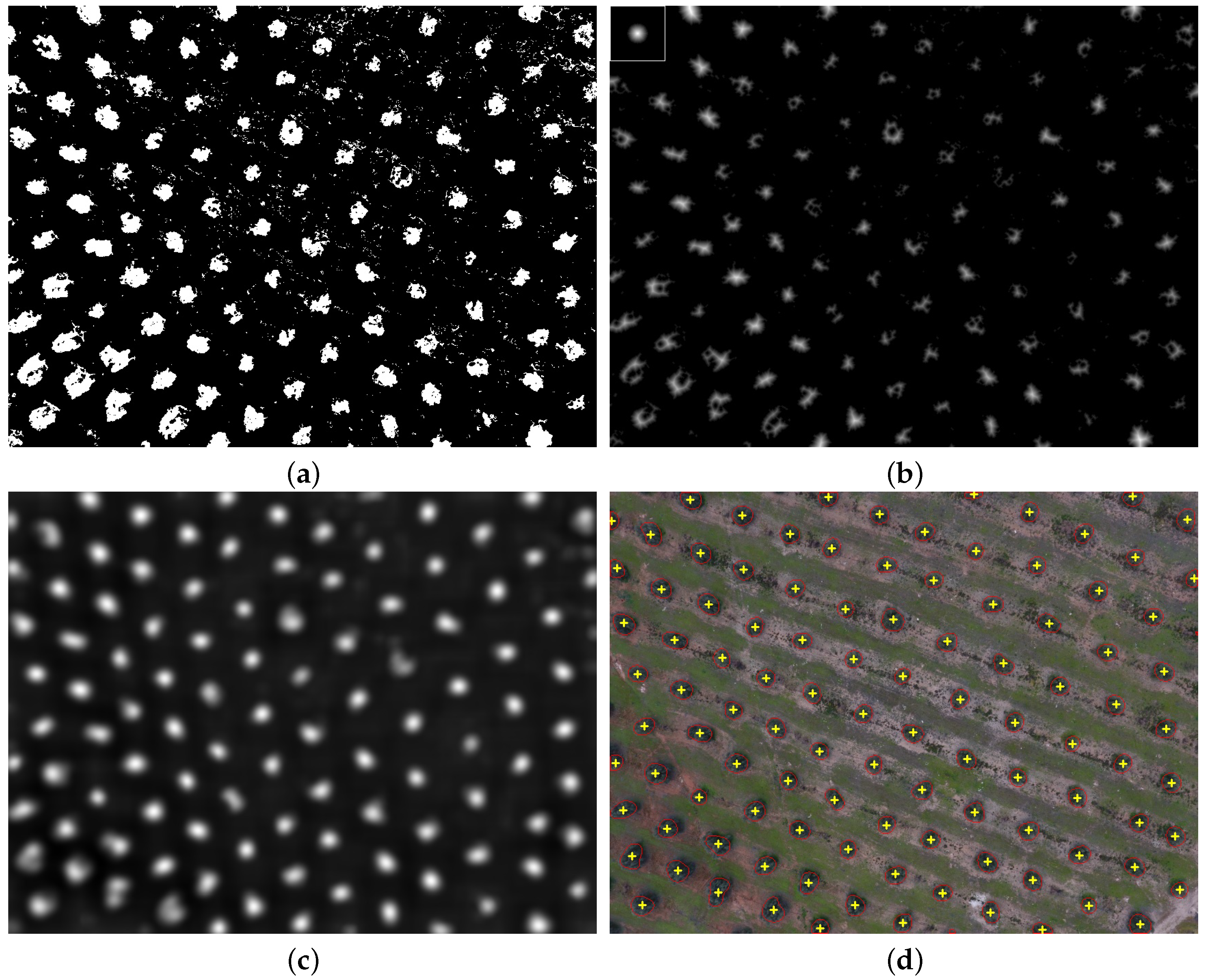 Remotesensing 11 00316 g005 550