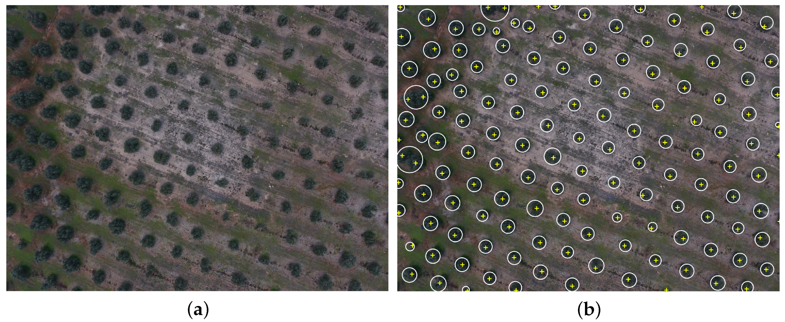 Remotesensing 11 00316 g010 550