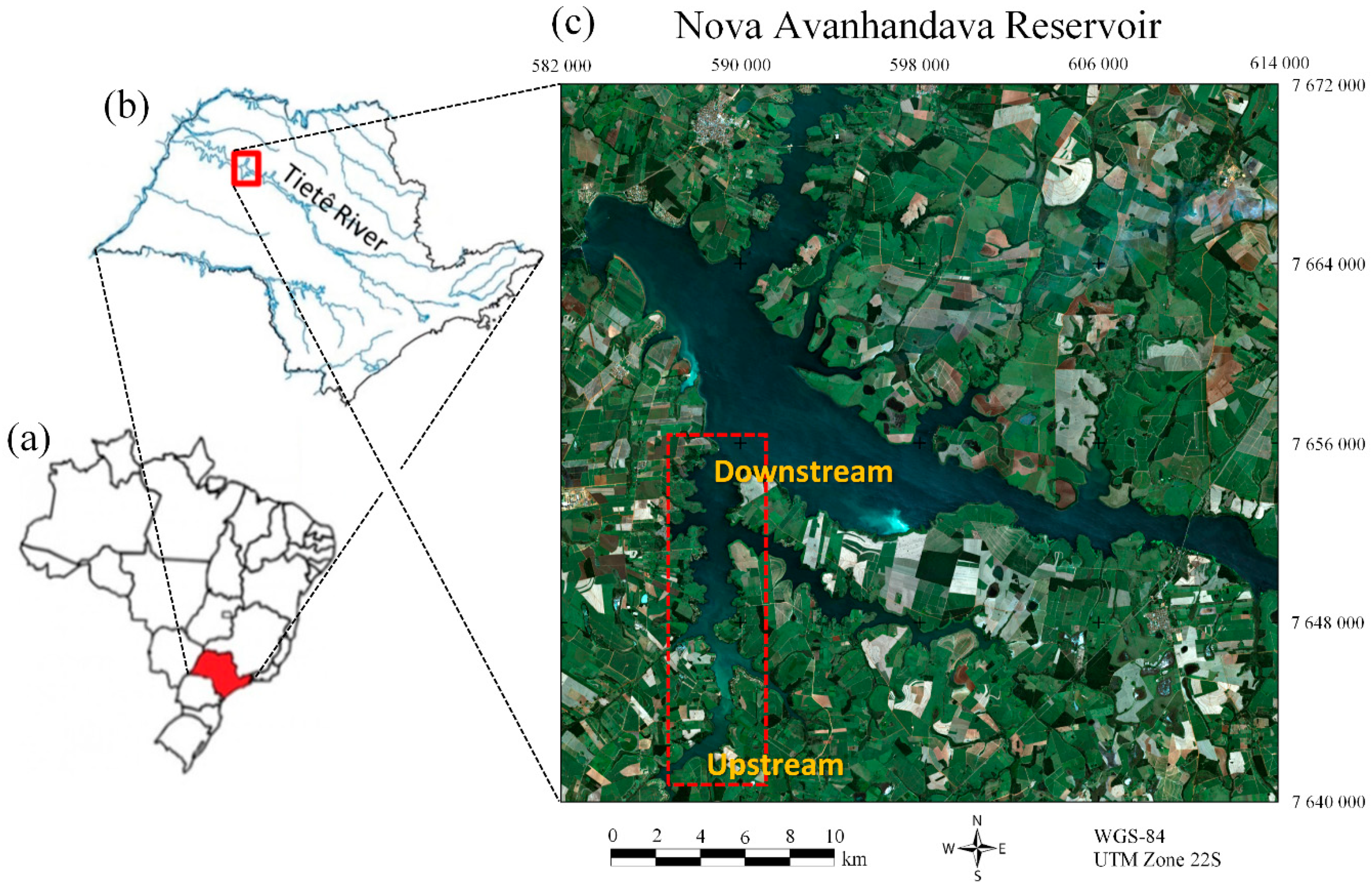 Remotesensing 11 00317 g001