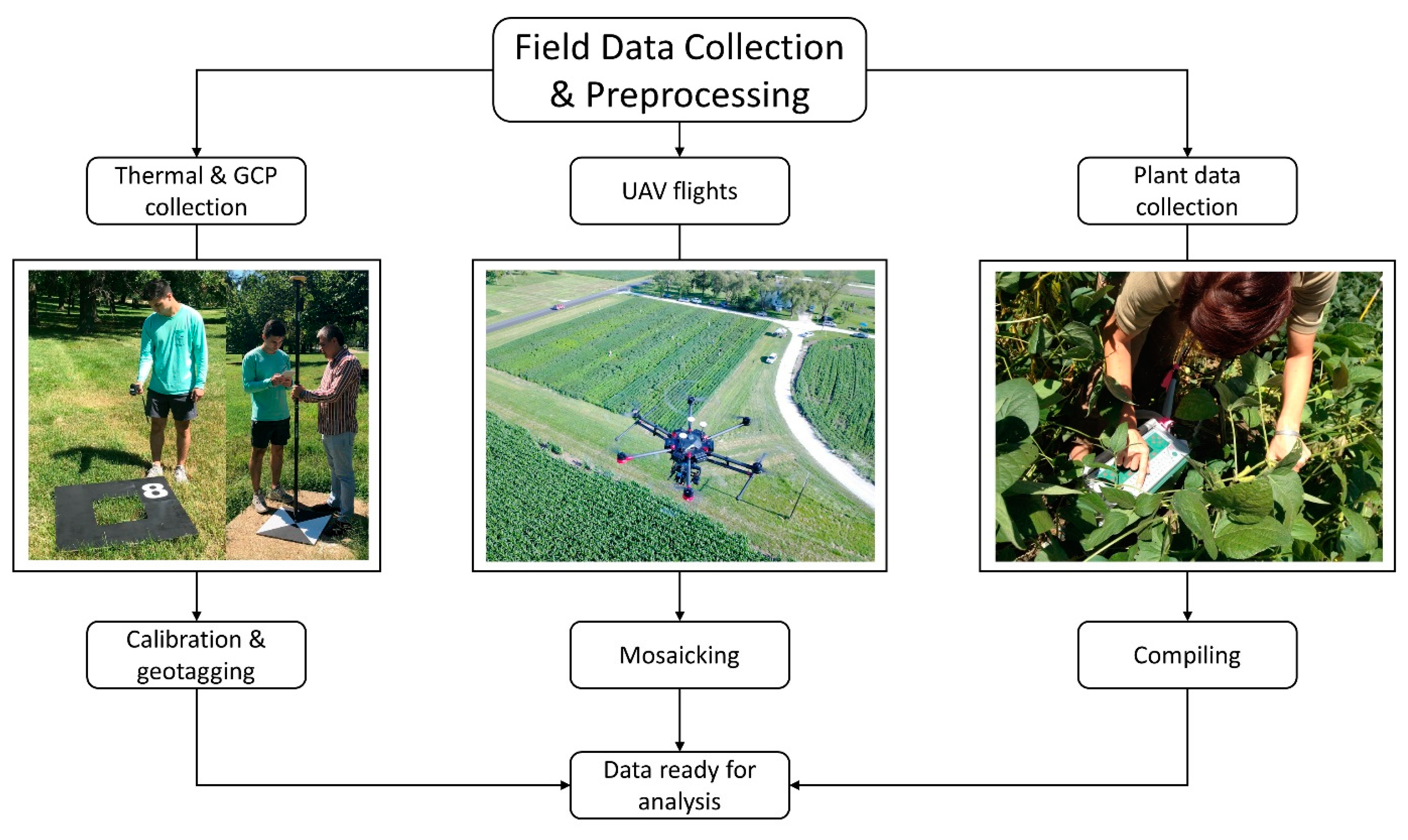 Remotesensing 11 00330 g004