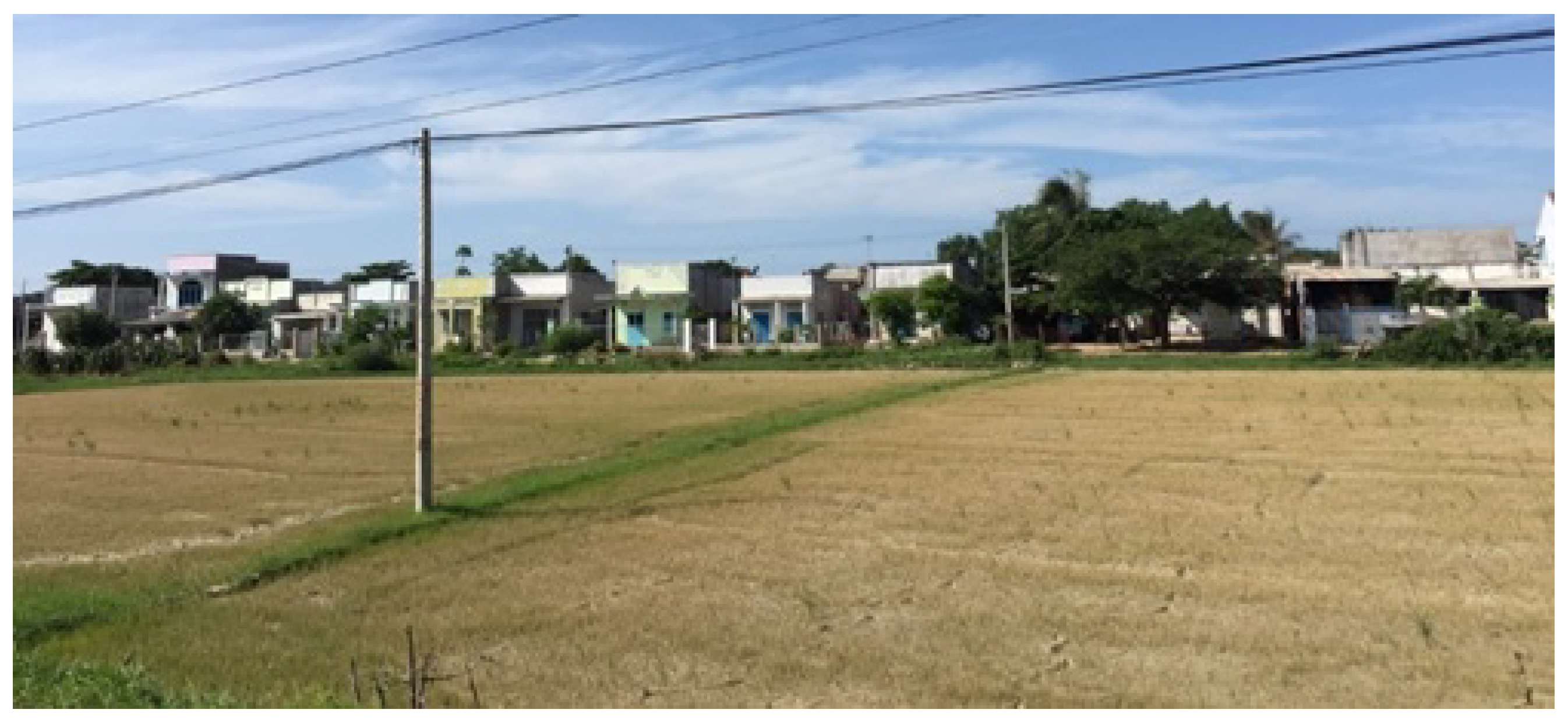 Remotesensing 11 00333 g009