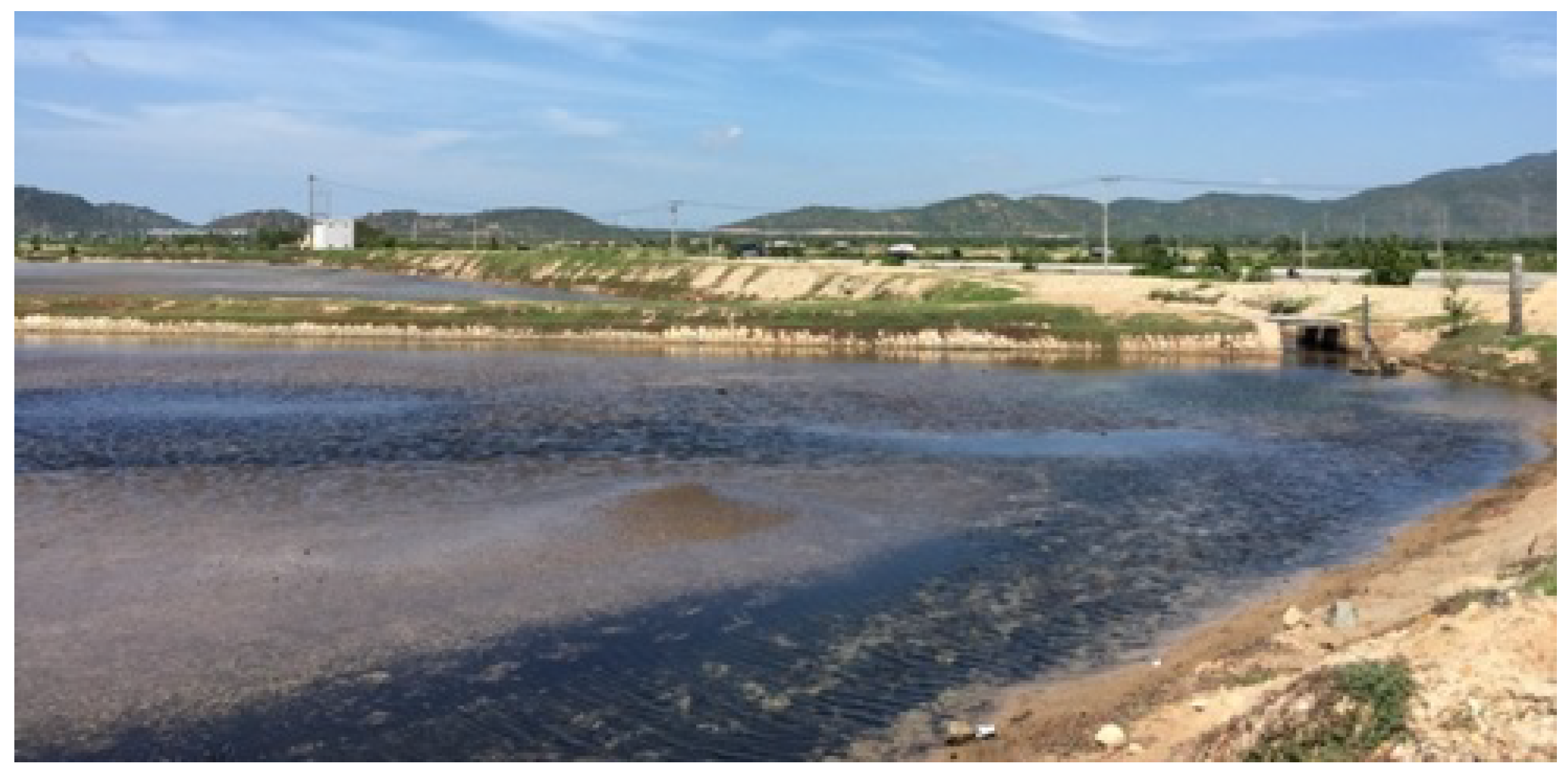 Remotesensing 11 00333 g011