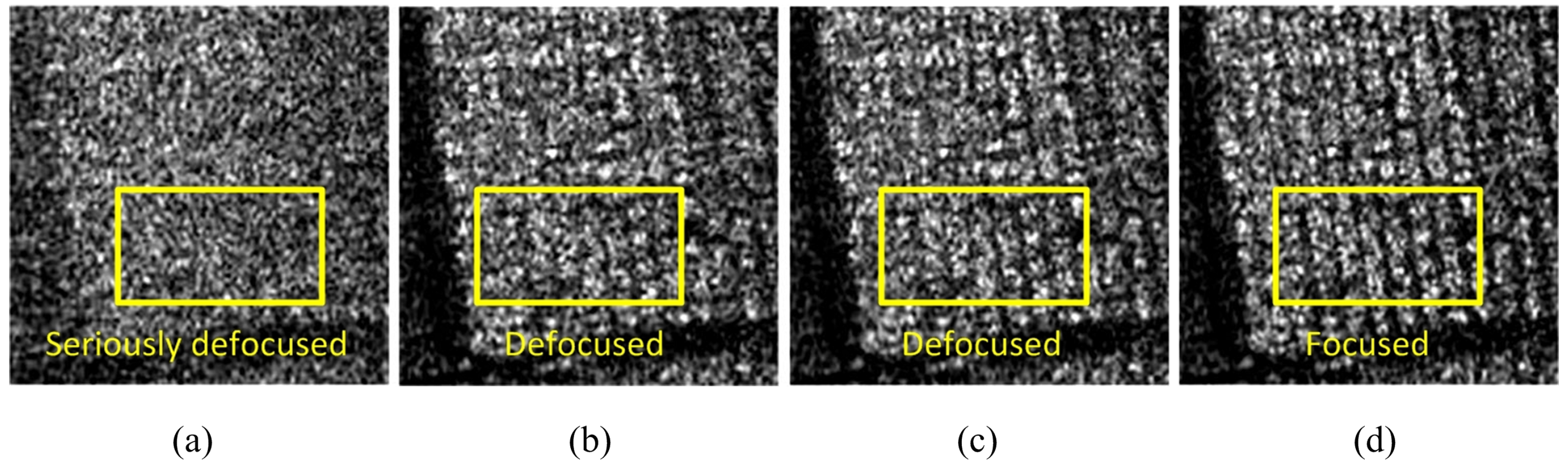 Remotesensing 11 00340 g015 550